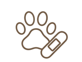 犬猫の噛み傷